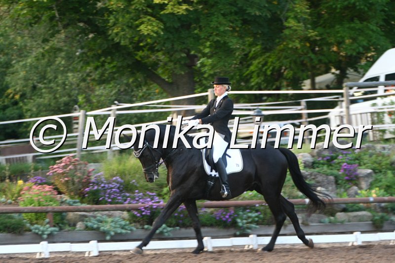 109M5338_Herbstzauber_Dressurpferde M.JPG